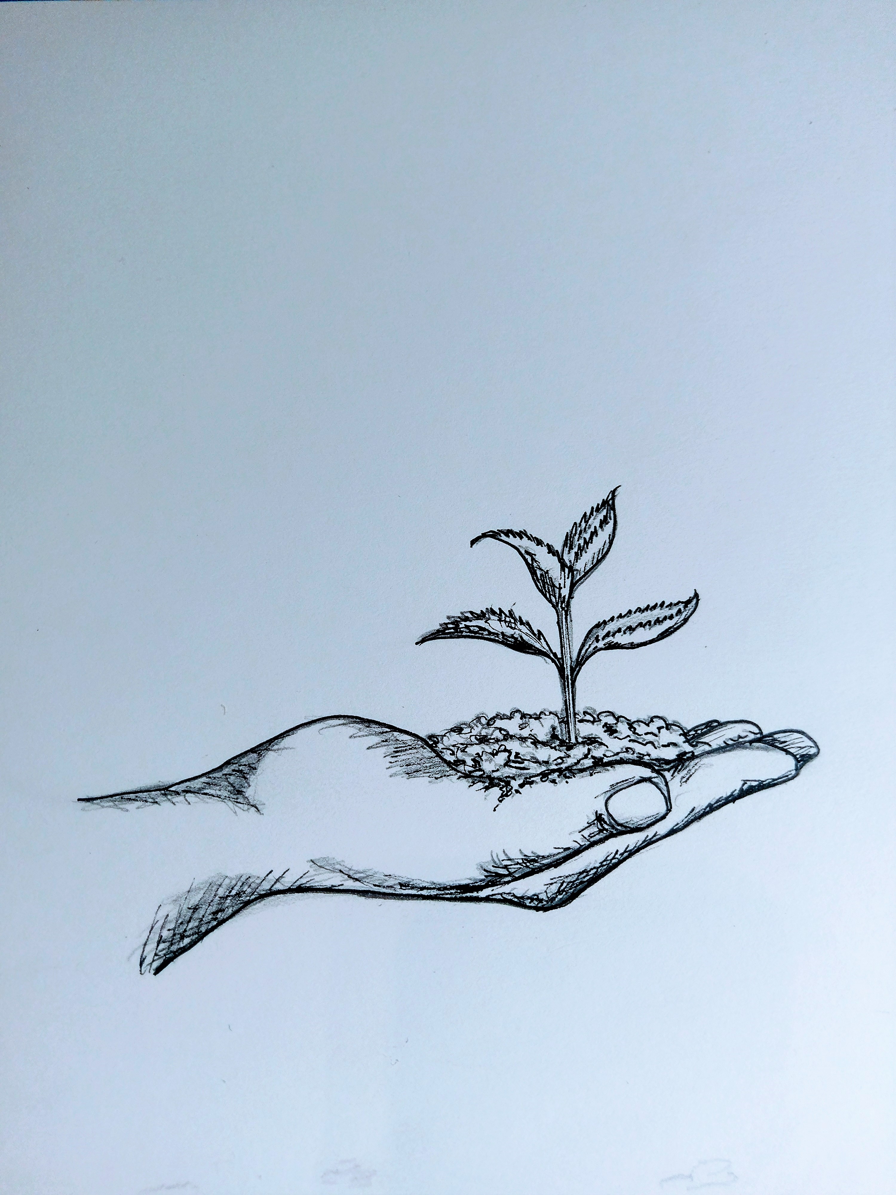 Hand with Seedling